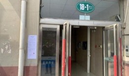 爆料卖惨夫妇视频大全集,揭秘网络爆红背后的心酸故事