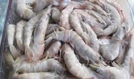 南美大白虾爆料视频,养殖、加工全流程大曝光
