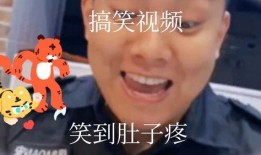 最新搞笑视频在线观看,在线观看让你笑到肚子疼