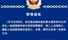 新闻爆料刑事案件罪名,涉嫌重大犯罪，嫌疑人被捕