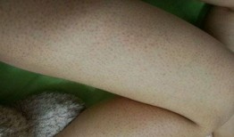 吃鸡皮肤爆料最新实测版,全新视觉盛宴，带你领略极致游戏体验