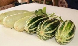 所有网红吃瓜视频,揭秘娱乐圈幕后真相