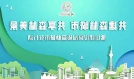 今日佛山爆料消息新闻,聚焦城市动态与民生焦点