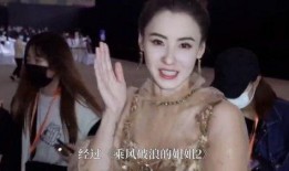 九红四姐爆料视频,揭秘视频背后的惊人真相