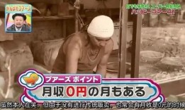 日本拾垃圾被爆料视频,城市清洁背后的辛酸与反思