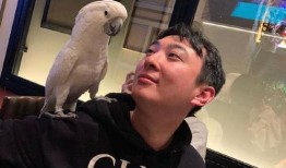 早期网红吃瓜事件