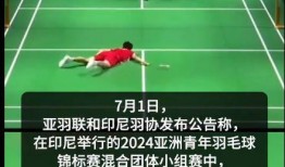 羽毛球事件爆料最新消息,内幕揭秘，真相即将浮出水面