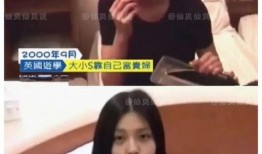 上海保姆案爆料视频全集,揭秘惊人真相与人性较量
